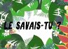 Le savais-tu? (eBook, ePUB) - Bild 1