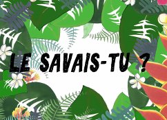 Le savais-tu? (eBook, ePUB) - Braud, Célia