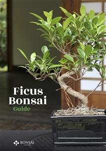 Ficus Bonsai Guide (eBook, ePUB) - Empire, Bonsai