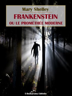 Frankenstein ou le Prométhée moderne (eBook, ePUB) - Shelley, Mary