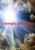 Il risveglio delle Ombre (eBook, ePUB)