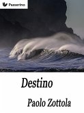 Destino (eBook, ePUB)