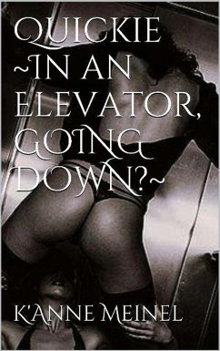 Quickie in an Elevator. Going down? (eBook, ePUB) - Meinel, K'Anne