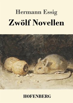 Zwölf Novellen - Essig, Hermann