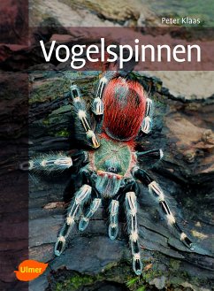 Vogelspinnen (eBook, PDF) - Klaas, Peter