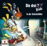 Die drei ??? Kids - In der Schatzhöhle... - Bild 1