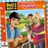 055/Wildpferd In Gefahr - Bild 1