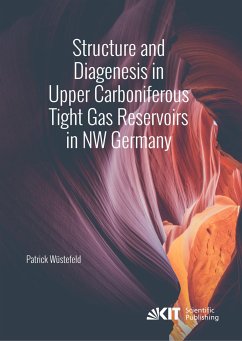 Structure and Diagenesis in Upper Carboniferous Tight Gas Reservoirs in NW Germany - Wüstefeld, Patrick