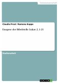 Exegese der Bibelstelle Lukas 2, 1-21 (eBook, ePUB)