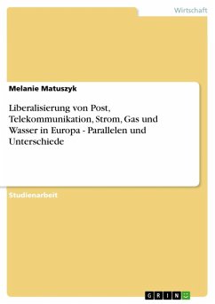 Liberalisierung von Post, Telekommunikation, Strom, Gas und Wasser in Europa - Parallelen und Unterschiede (eBook, ePUB)
