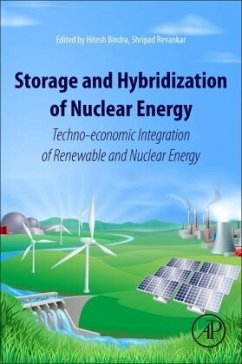 Storage and Hybridization of Nuclear Energy - Bindra, Hitesh;Revankar, Shripad