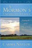 A Mormon's Unexpected Journey: Finding the Grace I Never Knew