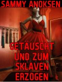 Getäuscht und zum Sklaven erzogen (eBook, ePUB)