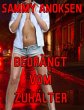 Bedrängt vom Zuhälter (eBook, ePUB) - Bild 1