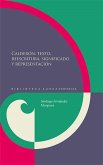 Calderón: textos, reescritura, significado y representación (eBook, ePUB)