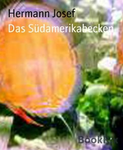 Cover Das Südamerikabecken (eBook, ePUB)
