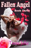 Fallen Angel: Book Three (eBook, ePUB)