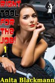 Right Tool for the Job! 1 (eBook, ePUB) Right Tool for the Job! 1 (eBook, ePUB)