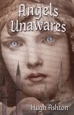Angels Unawares (eBook, ePUB)