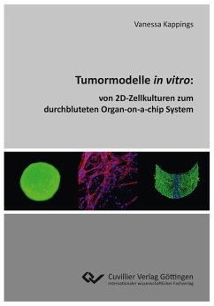 Cover Tumormodelle in vitro (eBook, PDF)