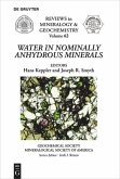 Water in Nominally Anhydrous Minerals