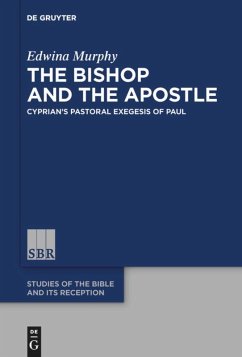 The Bishop and the Apostle - Murphy, Edwina