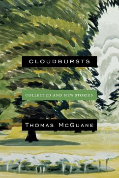 Cover Cloudbursts (eBook, ePUB)