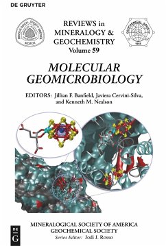 Molecular Geomicrobiology