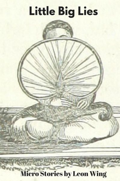 Little Big Lies : Micro Stories (eBook, ePUB)