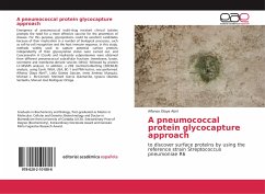 A pneumococcal protein glycocapture approach - Olaya Abril, Alfonso