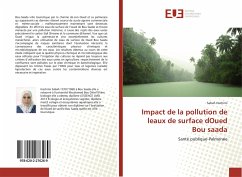 Impact de la pollution de leaux de surface dOued Bou saada - Hachimi, Sabah