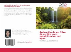 Aplicación de un filtro de zeolita para potabilización del agua