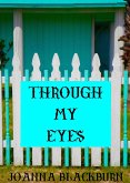 Through My Eyes (eBook, ePUB)