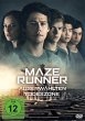 Maze Runner: Die Auserwählten in der... - Bild 1
