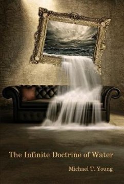 The Infinite Doctrine of Water (eBook, ePUB) - Young, Michael T.