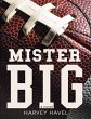 Mister Big: A Novel (eBook, ePUB) - Bild 1