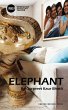 Elephant (eBook, ePUB) - Bild 1