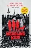 Meddling Kids (eBook, ePUB)