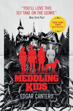 Meddling Kids (eBook, ePUB) - Cantero, Edgar