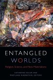 Entangled Worlds (eBook, ePUB)