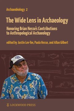 Wide Lens in Archaeology (eBook, PDF)