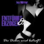 Entführt & Erzogen - Die Diebin wird bestraft! (eBook, ePUB)