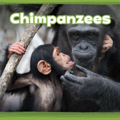 Chimpanzees - Clay, Kathryn