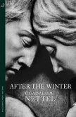 After the Winter (eBook, ePUB)