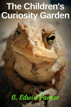 Cover The Children's Curiosity Garden (eBook, ePUB)