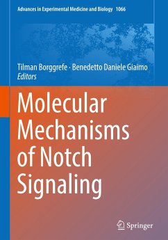 Molecular Mechanisms of Notch Signaling