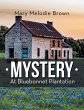 Mystery at Bluebonnet Plantation - Bild 1
