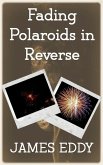 Fading Polaroids in Reverse (Diamonds, #6) (eBook, ePUB)