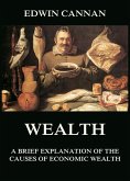 Wealth: A Brief Explanation of the Causes of Economic Wealth (eBook, ePUB)