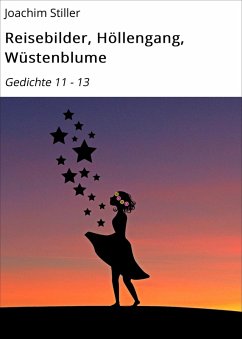 Reisebilder, Höllengang, Wüstenblume (eBook, ePUB) - Stiller, Joachim